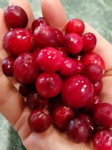 cranberry benefits