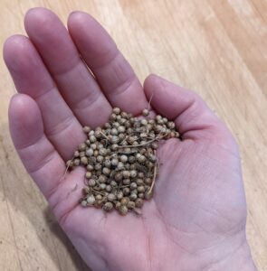 handful of coriander